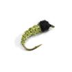 caddis larva